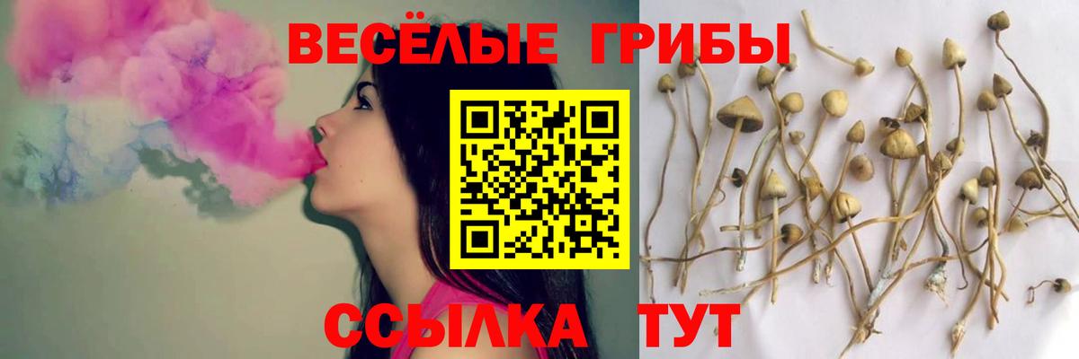 Курчалой  Псилоцибиновые грибы ЛСД  Вход с VPN  Галлюциногенные грибы прущие грибы 